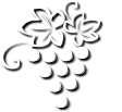 logo.png